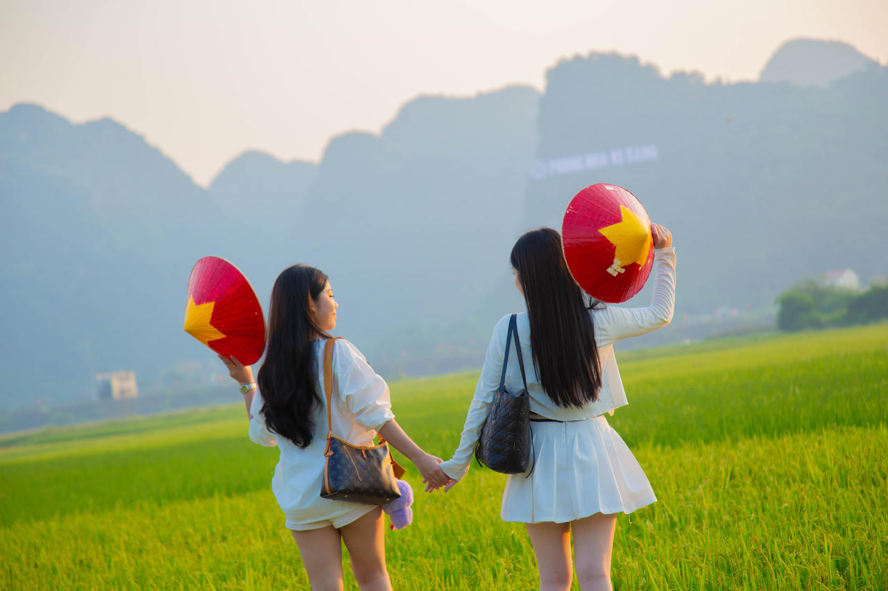 Cánh đồng lúa Jungle Boss Travelodge ở Quảng Bình khiến giới trẻ say đắm với thiên nhiên