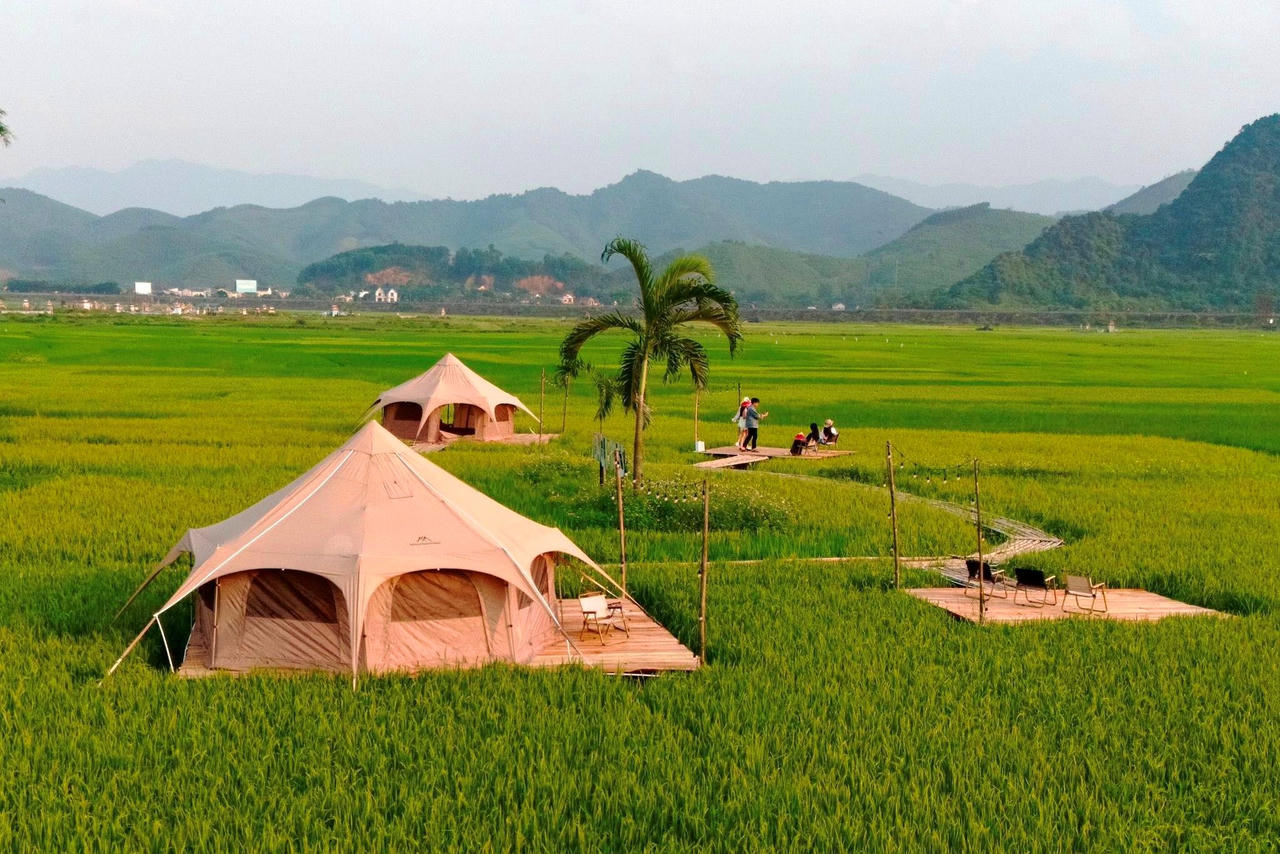 Cánh đồng lúa Jungle Boss Travelodge ở Quảng Bình khiến giới trẻ say đắm với thiên nhiên