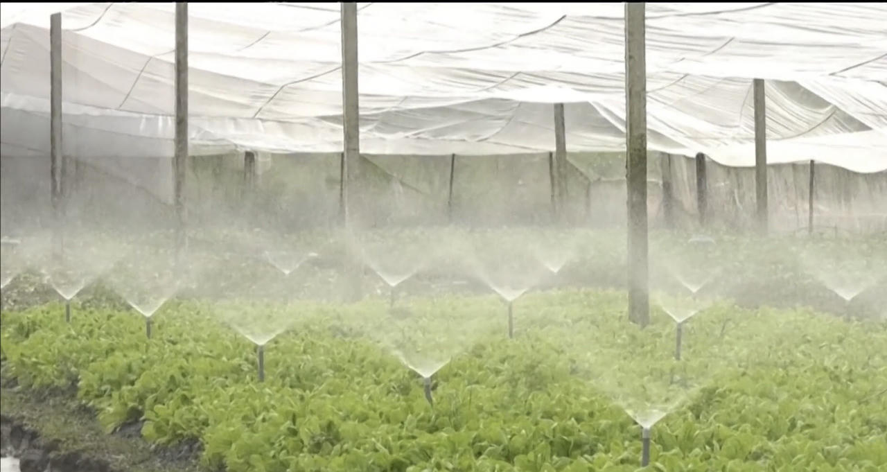 Cần Thơ chú trọng phát triển công nghệ cao để đưa nông nghiệp đi lên