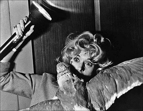 Sao nữ khốn khổ vì cảnh sex đồng tính