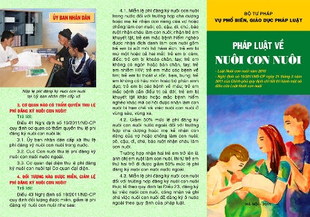 Vì sao nhiều người nhận nuôi con nuôi không muốn đăng ký?
