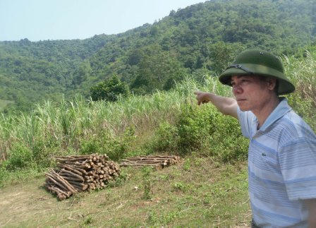 Án tử 30 năm treo trên đầu người dân làng ung thư