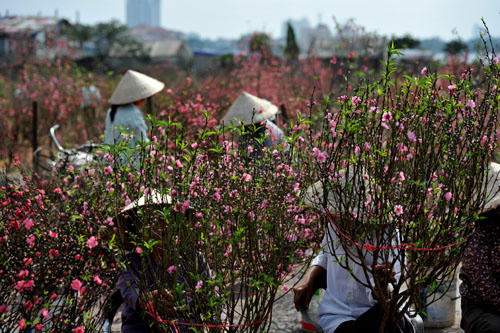 Khắc khoải nhớ Tết