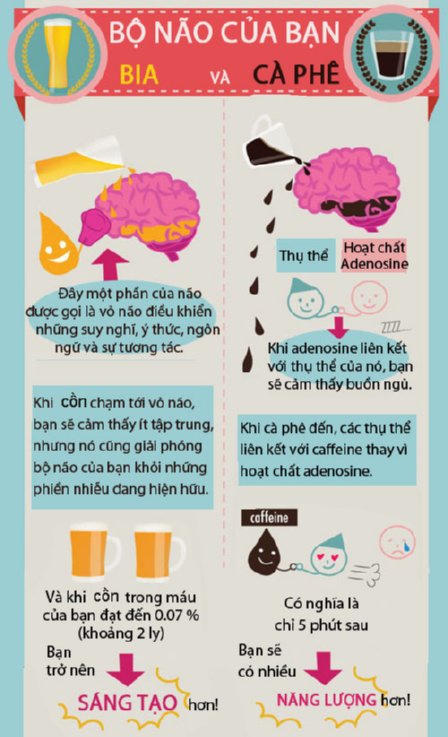 Bia và cà phê tác động tới não như thế nào?