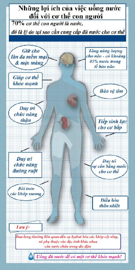 Nước uống tác động thế nào tới các bộ phận cơ thể?
