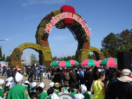 Tự hào thành phố Festival Hoa của Việt Nam