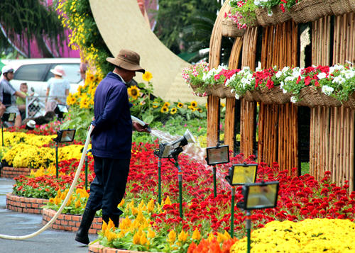 Đường hoa Nguyễn Huệ Giáp Ngọ rực rỡ trước giờ khai mạc