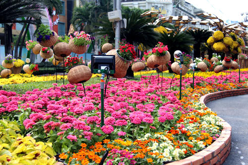 Đường hoa Nguyễn Huệ Giáp Ngọ rực rỡ trước giờ khai mạc