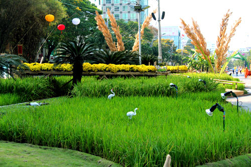 Đường hoa Nguyễn Huệ Giáp Ngọ rực rỡ trước giờ khai mạc