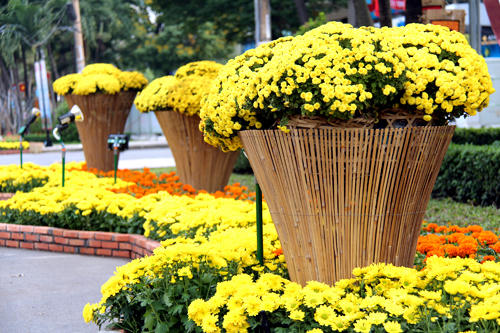 Đường hoa Nguyễn Huệ Giáp Ngọ rực rỡ trước giờ khai mạc