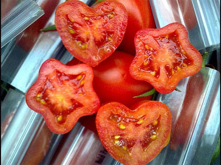 Hoa hồng, sô cô la không là món quà được mong đợi?