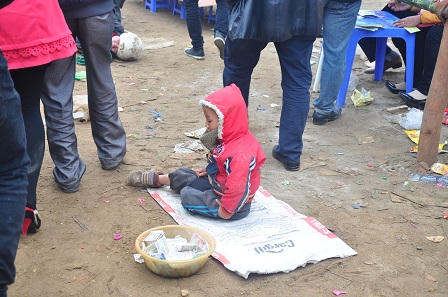 Đi xem lễ hội chọi trâu cổ nhất Việt Nam 