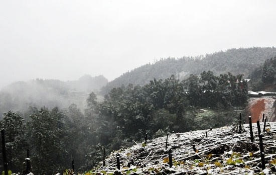 Mưa tuyết từ Ô Quy Hồ tràn xuống thị trấn Sa Pa