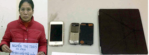 Giả danh osin vào nhà trộm cắp