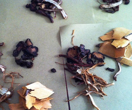 Bài thuốc đông y hoá giải bệnh viêm tắc tĩnh mạch chi dưới