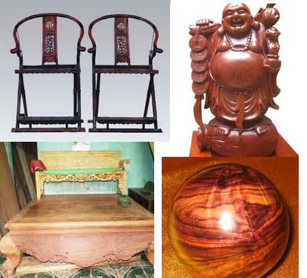 Vén màn bí ẩn gỗ sưa