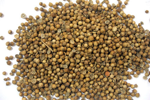 Cha mẹ hoảng loạn vì “dịch” sởi