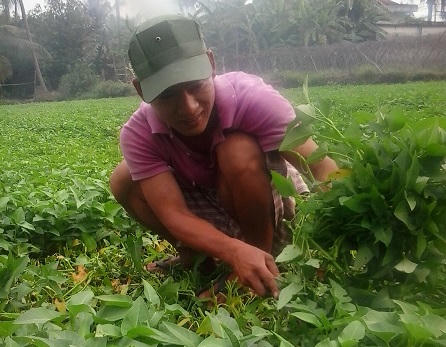 13 năm giúp con cai nghiện tại nhà