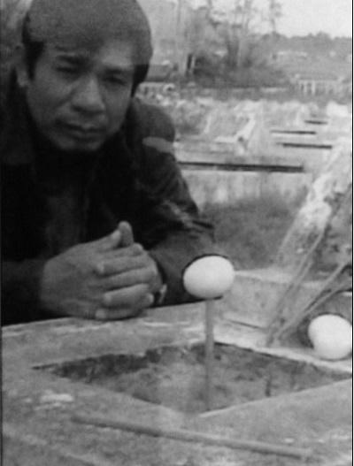 “Điềm báo” của con chim xanh giúp tìm mộ liệt sỹ