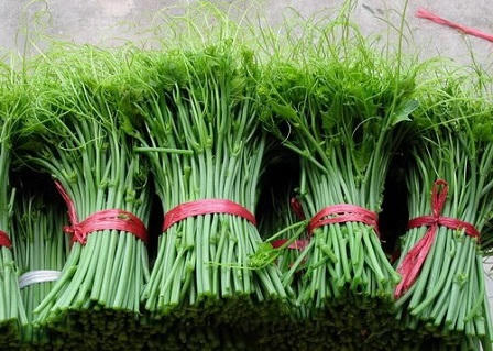 Trải lòng của các sinh viên kinh doanh "cây nhà, lá vườn"