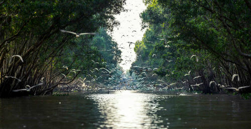 5 lý do Việt Nam được du khách yêu mến