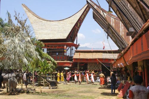 Lễ tang kỳ lạ nhất thế giới của bộ lạc cổ ở Indonesia