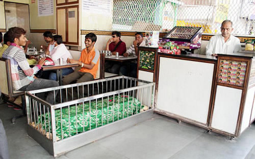 Nhà hàng nằm giữa những nấm mộ vẫn nườm nượp thực khách