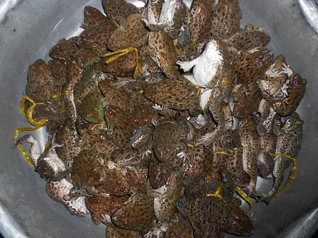 Luật bất thành văn ở ngôi làng đàn ông ngủ ngày