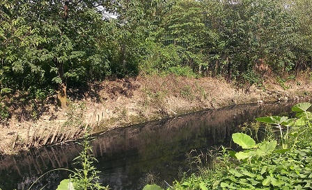 Khu công nghiệp Sài Đồng B “bức tử”sông Cầu Bây