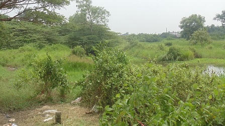 Chỉ vì trò đùa quái ác, đứa trẻ bán vé số 14 tuổi hại chết bạn 