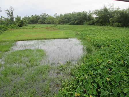 Sự thật chuyện “ma” dẫn đi chơi rồi bắt phải vong mạng ở Quảng Nam