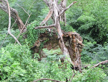 Quảng Nam: Cả làng run sợ vì chuyện “ma bắt người”