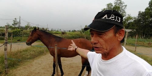 Những chú ngựa huyền thoại vang bóng một thời tại trường đua nổi tiếng nhất Việt Nam