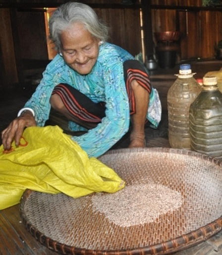 Hành trình đỏ mắt  tìm “hạt ngọc” giữa Trường Sơn