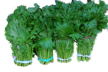 Những món ngon khó cưỡng ở Mộc Châu