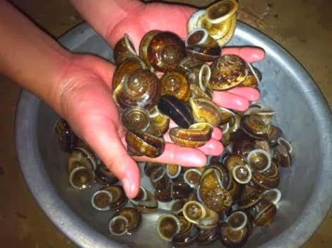 Những món ngon khó cưỡng ở Mộc Châu