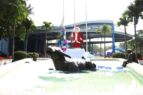 Chơi ở “con đường tuyết” giữa Thủ đô