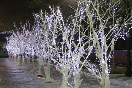 Chơi ở “con đường tuyết” giữa Thủ đô