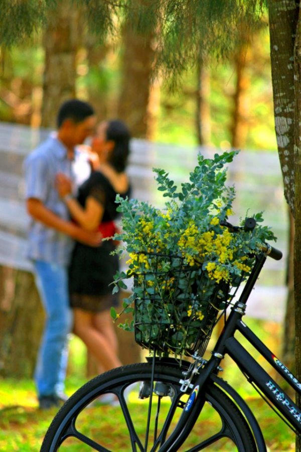 Tour tiết kiệm cho kỳ nghỉ đón năm mới