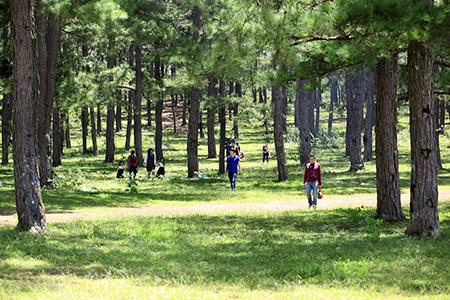 Ba điểm đón Tết dương lịch thú vị 