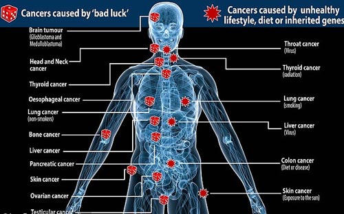 Sự thật chuyện mắc ung thư là do thiếu... may mắn?