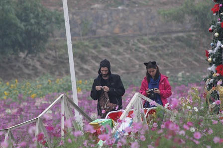 Những “hoa hậu” ở Thung lũng hoa giữa Thủ đô