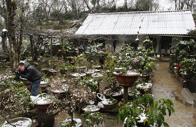 Du khách bất chấp rét 0 độ lên Sa Pa ngắm tuyết 