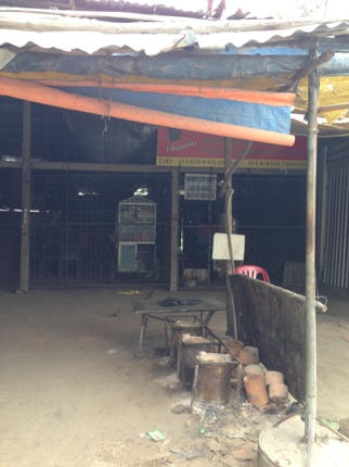 Con ruồi có giá 500 triệu đồng: bài học đau xót