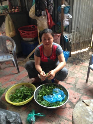 Con ruồi có giá 500 triệu đồng: bài học đau xót