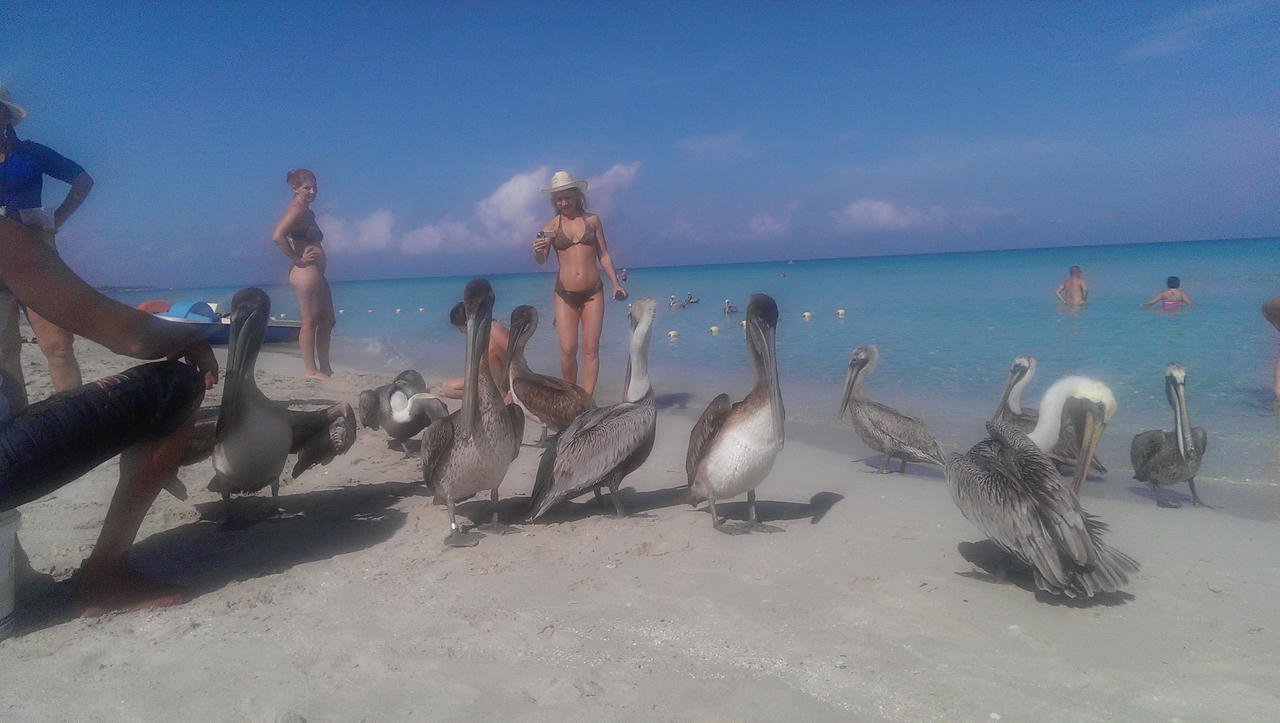 Đến Cuba và yêu ngay Havana