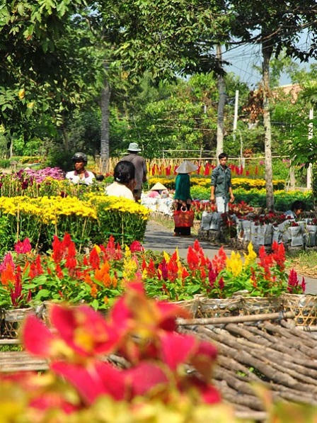 Làng hoa Sa Đéc, nơi tình yêu bắt đầu