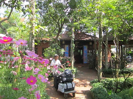 Yêu hơn phố Hội ngày xuân