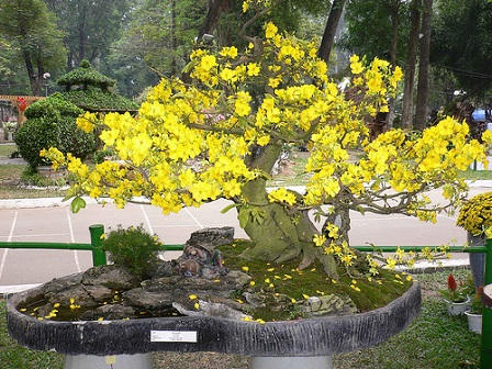 Lời nhắn từ... Mai !