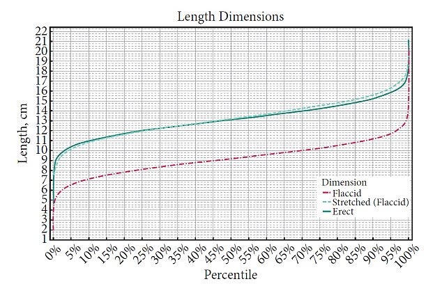 Công bố kích thước chuẩn quốc tế của  “cậu nhỏ” 